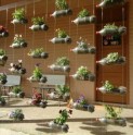 Vecinos de El Curque trabajan en hermoseamiento del entorno y cuidado del medio ambiente