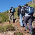 Programa cardiovascular y deportivo de Compañía Minera Teck realizará caminata por una vida sana