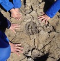 En Coquimbo capacitarán sobre cambio climático y su efecto en la biodiversidad