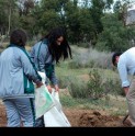 Escuela Patricio Lynch desarrolla proyecto científico junto a la U. Católica del Norte