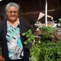 Invernadero de plantas en sector El Toro se adjudica fondos de emprendimiento