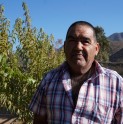 Agricultor de La Cortadera potenciará sus cultivos gracias a Fondo Concursable