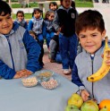 Junaeb recomienda a los estudiantes a pasar unas vacaciones saludables y activas