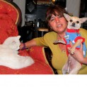 Voluntarios de Afodecad trabajan para concientizar a las personas sobre el cuidado animal