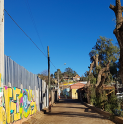 La Municipalidad de Andacollo realiza poda de árboles de forma preventiva  en Camilo Henríquez para evitar riesgos