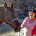 Marta Quispe y su amor eterno por la crianza de animales en Andacollo