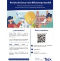 Comienzan postulaciones al Fondo de Desarrollo Microempresarial