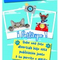 Municipio invita a participar de concurso de fotografías “Selfie Pets”