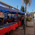 Más de 100 emprendedores participaron de la Cuarta Feria navideña